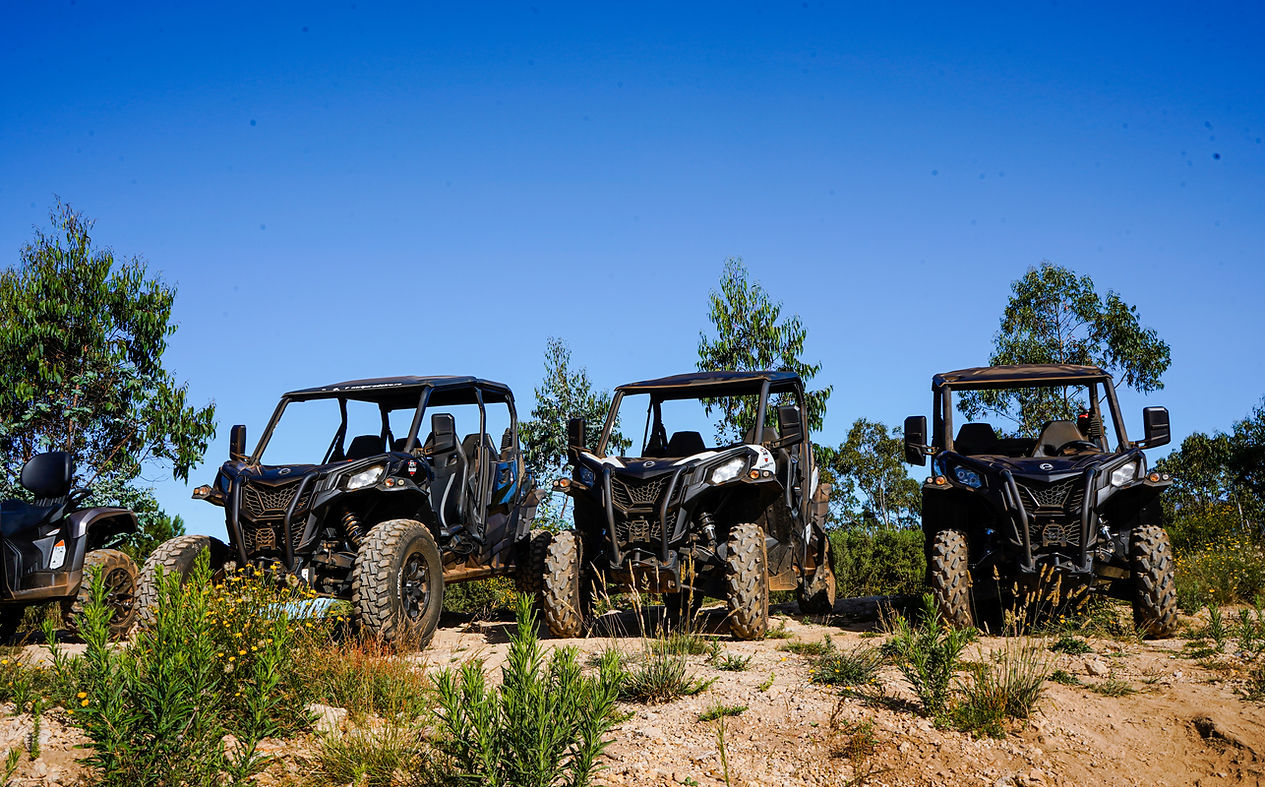 Buggy Tours Madeira