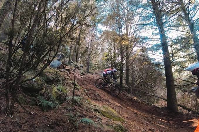 Cycling Madeira — Mountain Bike Tours Madeira