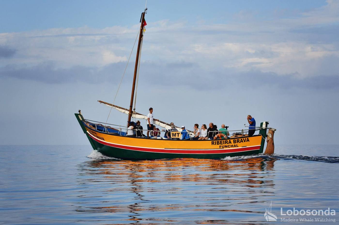 Lobosonda — Whale Watching in Madeira