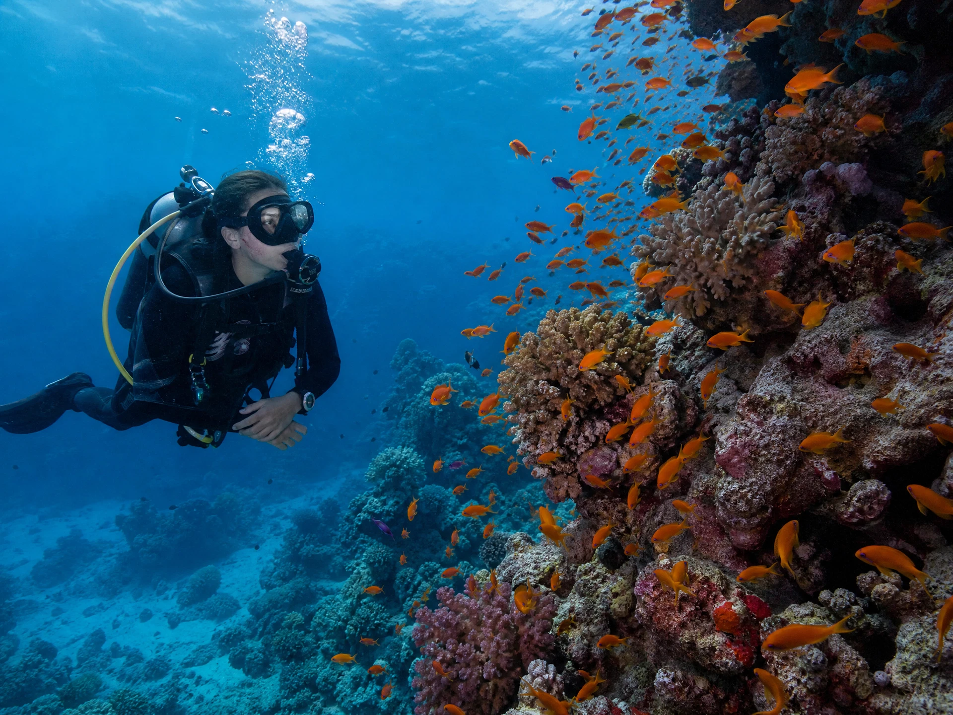 Diving
