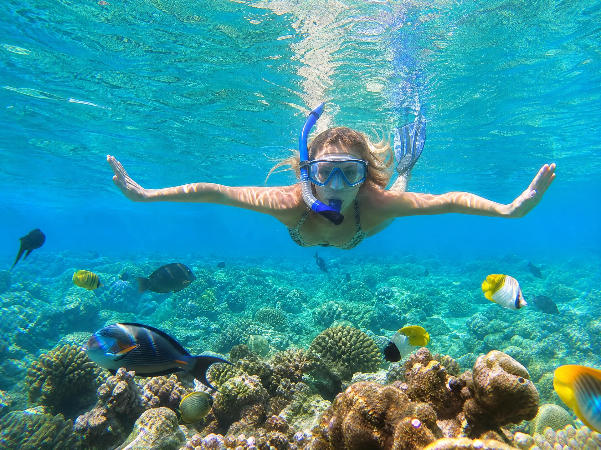 Snorkeling